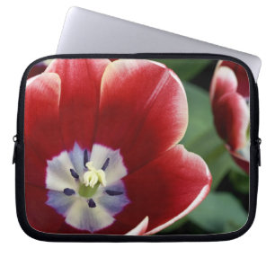 Capa Para Notebook Países Baixos (também conhecido como Holanda), Lis