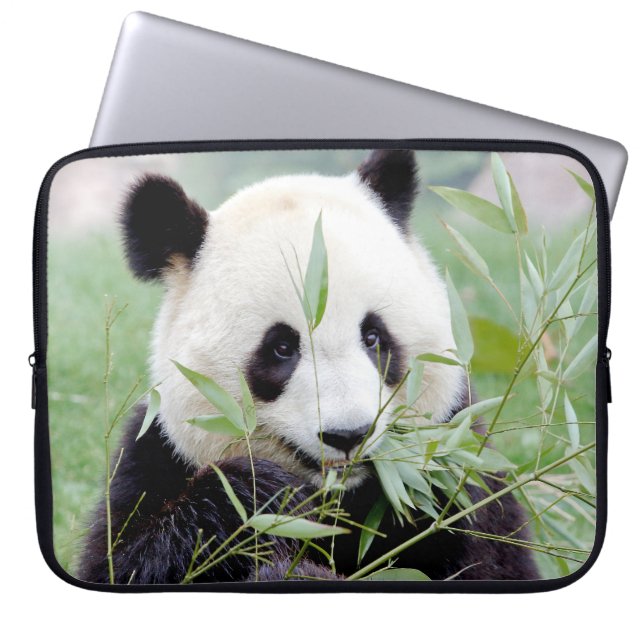 Capa Para Notebook Panda gigante da fotografia, capas de laptop de an (Frente)