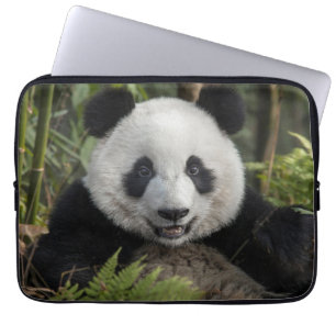 Capa Para Notebook Panda jovem feliz, China