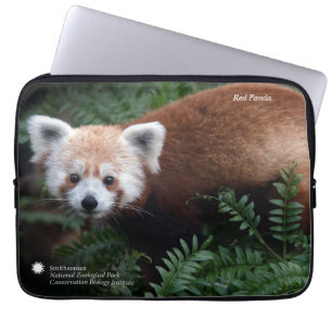 Capa Para Notebook Panda vermelha de Smithsonian  