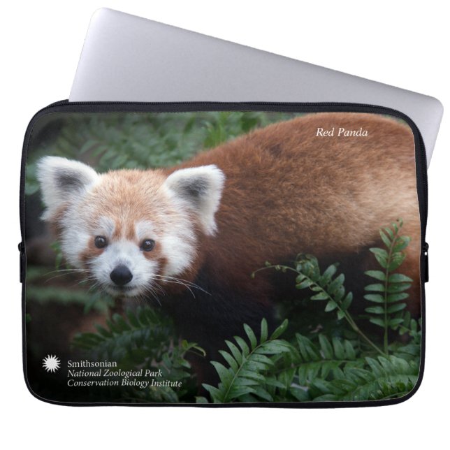 Capa Para Notebook Panda vermelha de Smithsonian | (Frente)