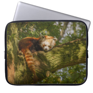 CAPA PARA NOTEBOOK PANDA VERMELHA NO RAMO DA ÁRVORE VERDE