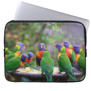 Capa Para Notebook Papagaios Lorikeet Arco-Íris Coloridos Comendo