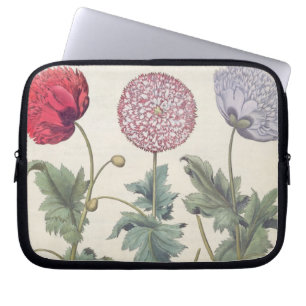 Capa Para Notebook Papoilas: rubicundis multiplex dos albumoris