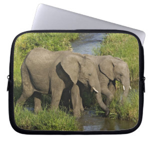 Capa Para Notebook Par de Elefantes Africanos Masai Mara