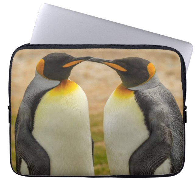 Capa Para Notebook Par de pinguins-reis, Ilhas Falkland (Frente)