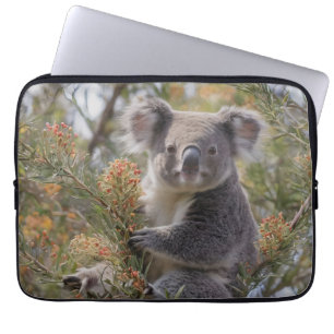 Capa Para Notebook "Paraíso de Koala: Preso em uma Árvore Grevillea"