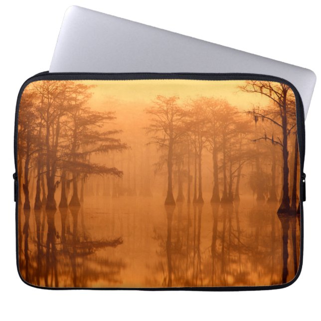 Capa Para Notebook Parque Estadual de Cypress Trees George Smith (Frente)