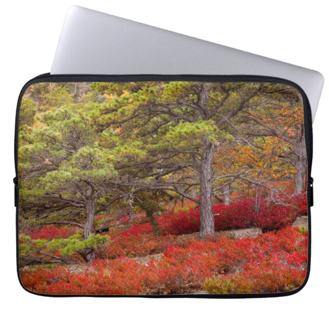 Capa Para Notebook Parque Nacional Acadia, Maine (Frente)
