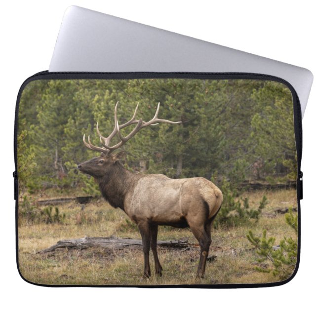 Capa Para Notebook Parque Nacional Bull Elk Yellowstone, Wyoming (Frente)