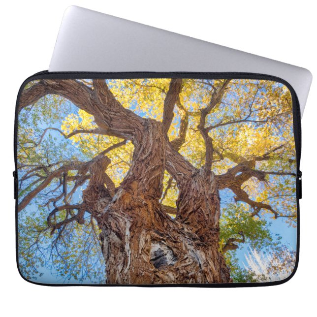 Capa Para Notebook Parque Nacional Capitol Reef, Árvore Cottonwood (Frente)