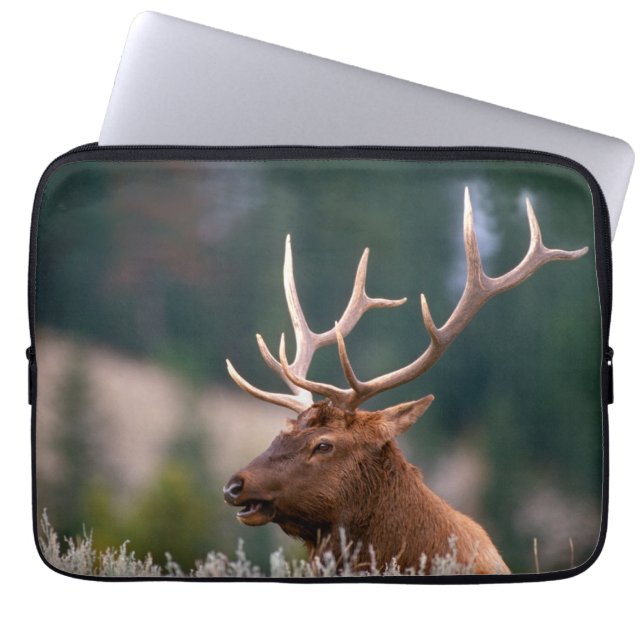 Capa Para Notebook Parque Nacional do Elk Yellowstone, Rocky Mountain (Frente)