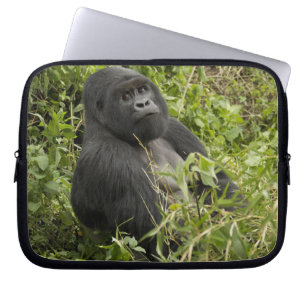 Capa Para Notebook Parque Nacional dos Vulcões, Gorila da Montanha