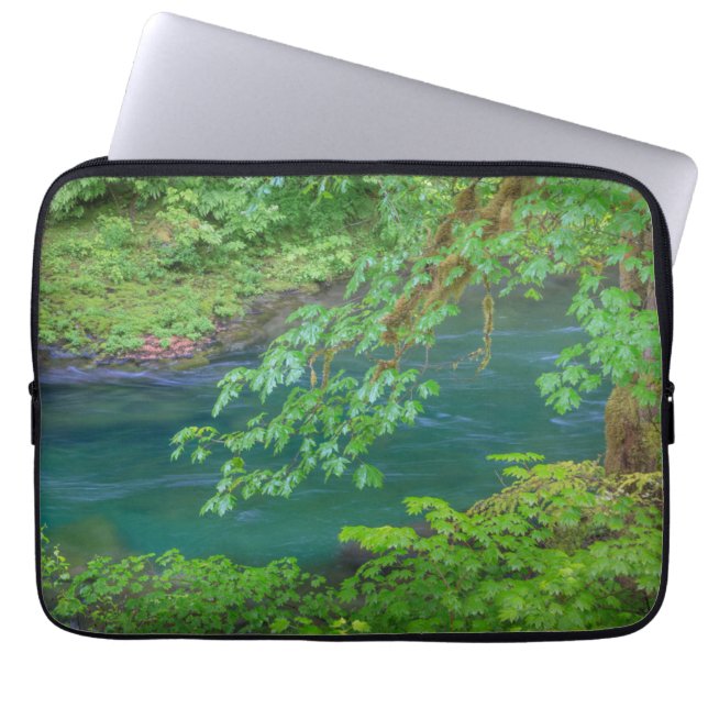 Capa Para Notebook Parque Nacional Olímpico Estado de Washington (Frente)