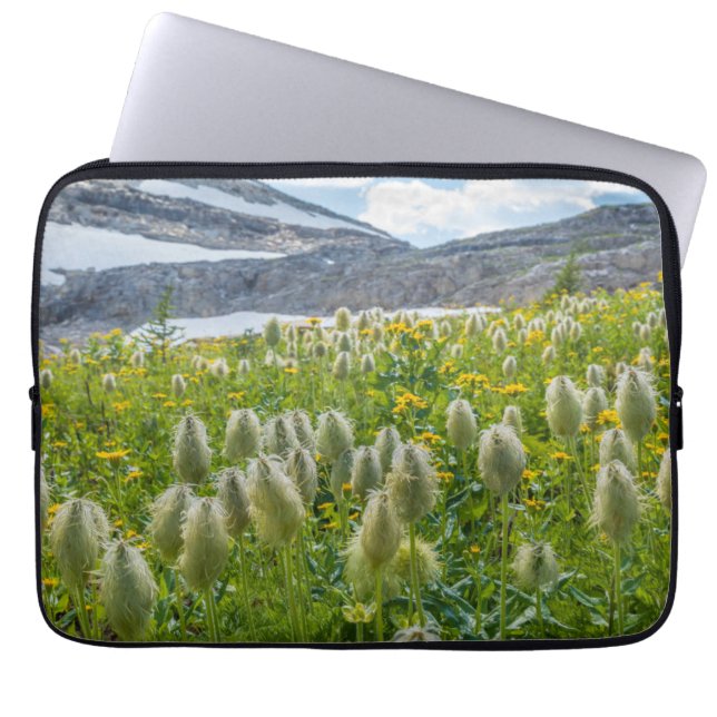 Capa Para Notebook Pasqueflower Ocidental | Montanhas de East Kootena (Frente)