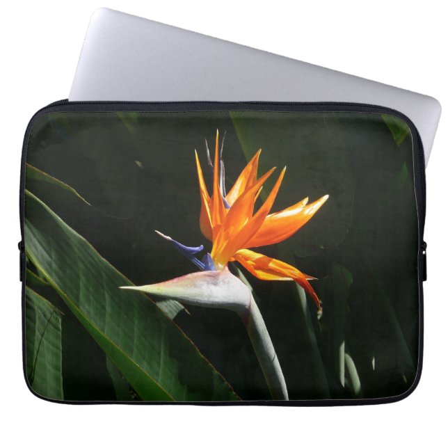Capa Para Notebook Pássaro da Flor Tropical Laranja do Paraíso (Frente)