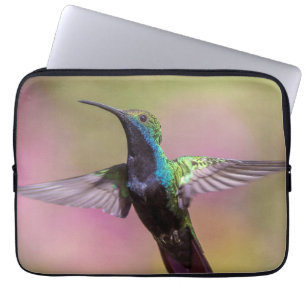 Capa Para Notebook Pássaro Humming