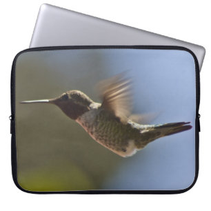 Capa Para Notebook Pássaro Hummingno Voo