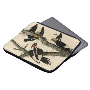 Capa Para Notebook Pássaros de Pica-Pica-Pica-Pau da América