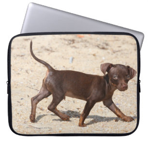 Capa Para Notebook Passeio do filhote de cachorro da chihuahua