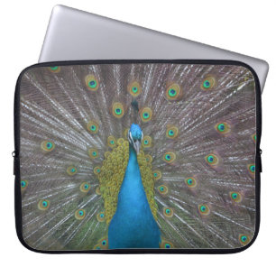 Capa Para Notebook Pavão Atormentado