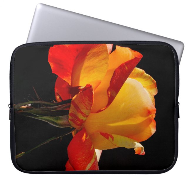 Capa Para Notebook Peachy Orange Rosa (Frente)