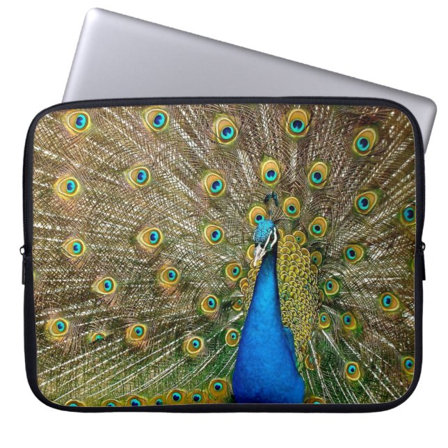 Capa Para Notebook Peacock Pattern Peacock Trabalho de arte Painting  (Frente)