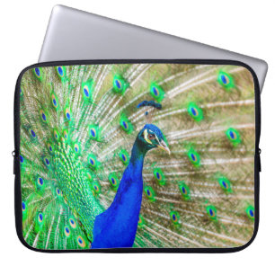 Capa Para Notebook Peacock Plumage