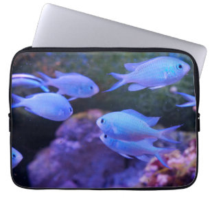 Capa Para Notebook Peixe Azul Tropical