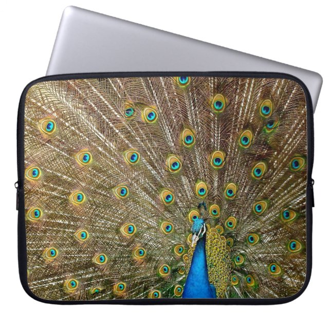 Capa Para Notebook Penas da Cauda Peacock (Frente)
