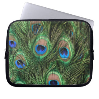 Capa Para Notebook Penas de Peacock