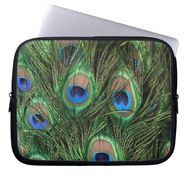 Capa Para Notebook Penas de Peacock (Frente)