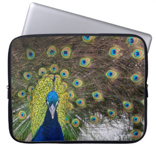 Capa Para Notebook Penas de Peacock Vibrantes