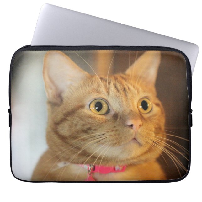 Capa Para Notebook Penny bonito (Frente)