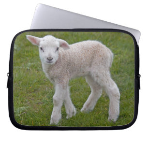 Capa Para Notebook Pequena Bolsa de laptop