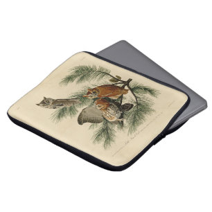 Capa Para Notebook Pequena Coruja das Aves da América de Audubon