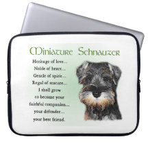 Pequena Schnauzer