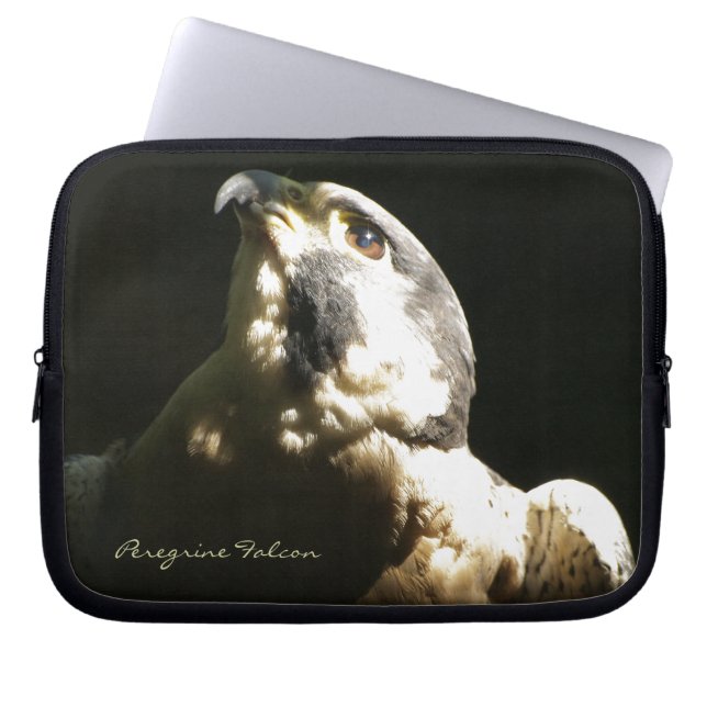 Capa Para Notebook Peregrine Falcon - Foto de Vida Selvagem Retrato (Frente)