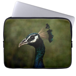 Capa Para Notebook Perfil de Peacock