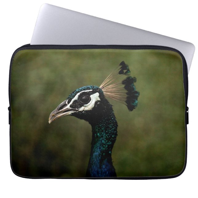 Capa Para Notebook Perfil de Peacock (Frente)