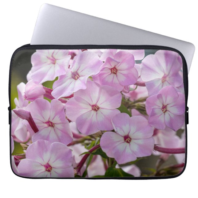 Capa Para Notebook Phlox, Fotografia da Flor Rosa (Frente)