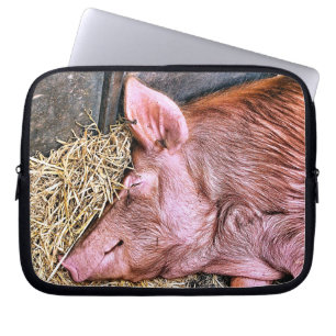 CAPA PARA NOTEBOOK PIG CUTO