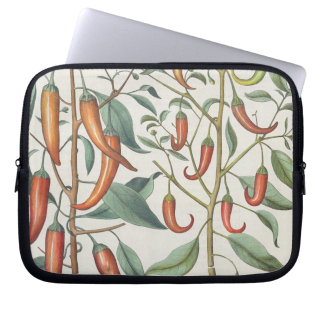 Capa Para Notebook Pimentas: longum do máximo de 1.Piper Indicum; (Frente)