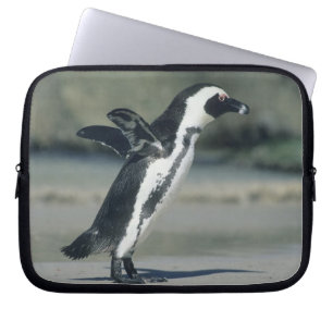 Capa Para Notebook Pinguim-africano