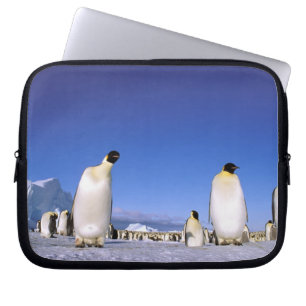 Capa Para Notebook Pinguim Antártida, Península Antártica