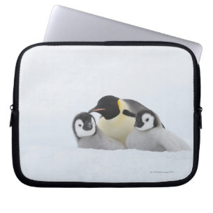 Capa Para Notebook Pinguim de imperador (forsteri do Aptenodytes) 2