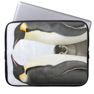 Capa Para Notebook Pinguins de imperador com pintinho - caixa do