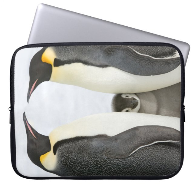 Capa Para Notebook Pinguins de imperador com pintinho - caixa do (Frente)