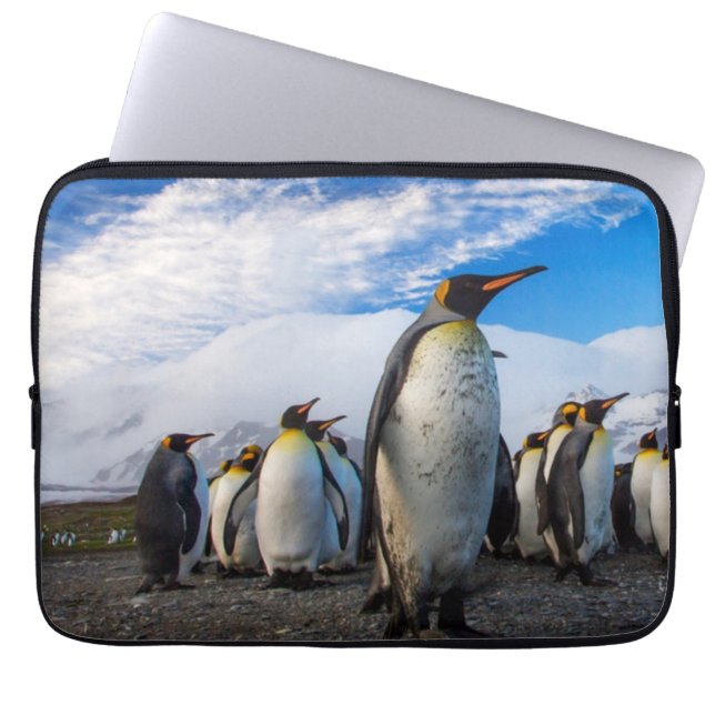 Capa Para Notebook Pinguins Marching Blue Sky (Frente)