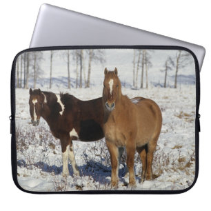 Capa Para Notebook Pinte cavalos na neve